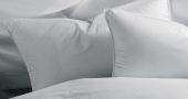 Down Pillows